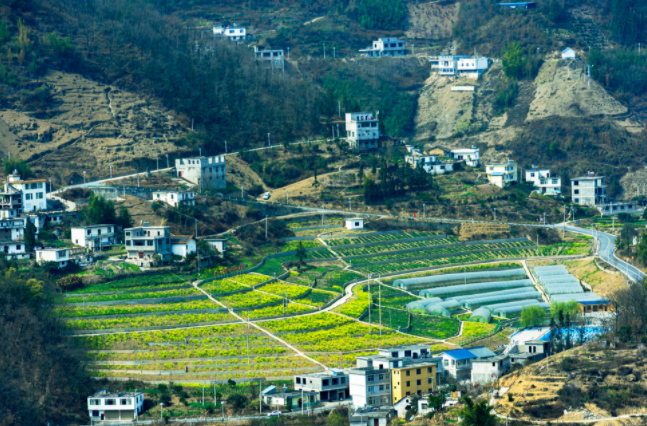 土壤墑情監(jiān)測(cè)系統(tǒng)在哪兒建站都行嗎保障？土壤墑情監(jiān)測(cè)系統(tǒng)的建站原則和選址要求