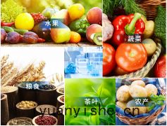 觸摸(mō)屏農藥殘留檢(jiǎn)測儀(yí)哪個品牌好