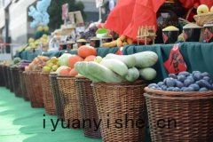 便攜式(shì)農(nóng)藥(yào)殘留檢測儀的操作注意事項