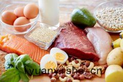 食(shí)品(pǐn)安(ān)全(quán)檢測(cè)儀檢(jiǎn)測蛋白質準確嗎