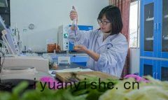 蔬(shū)菜農(nóng)藥殘(cán)留快速檢測儀器(qì)哪(nǎ)個準(zhǔn)確(què)